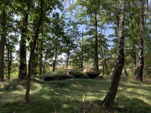 Hueven Steingrab 2