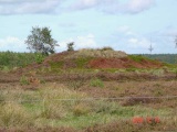 Berensch Kluetenberg - PID:67951