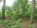 Achim-Baden Huegelgrab - PID:109772