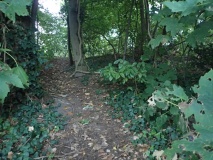 Achim-Baden Huegelgrab