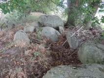 Boitze Langbett
