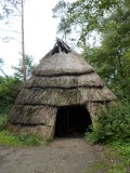 Natureum Niederelbe