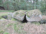 Raven Steingrab 2