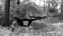 Click for full size image of Midlum Henkenstein (PID:35954) Midlum Henkenstein
