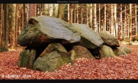 Click for full size image of Lamstedt Steenaben (PID:45753) Lamstedt Steenaben