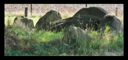 Click for full size image of Nartum Steingrab (PID:263382) Nartum Steingrab