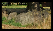 Click for full size image of Nartum Steingrab (PID:263384) Nartum Steingrab