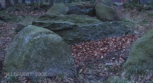 Click for full size image of Restruper Großsteingrab (PID:38051) Restruper Großsteingrab