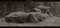 Click for full size image of Wildeshausen Hohe Steine (PID:45346) Wildeshausen Hohe Steine