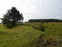 Grabhügel Helmersberg-Nord