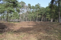 Plaggenschale Hügelgräberfeld