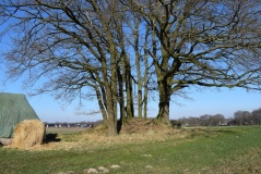 Schwagstorf-Felsen Huegelgrab