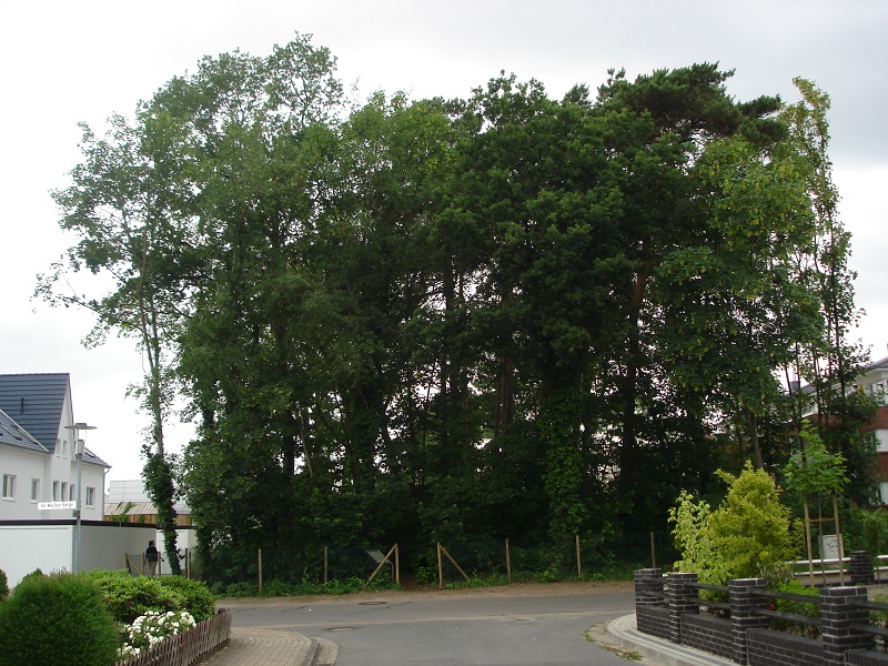 Achim-Baden Huegelgrab