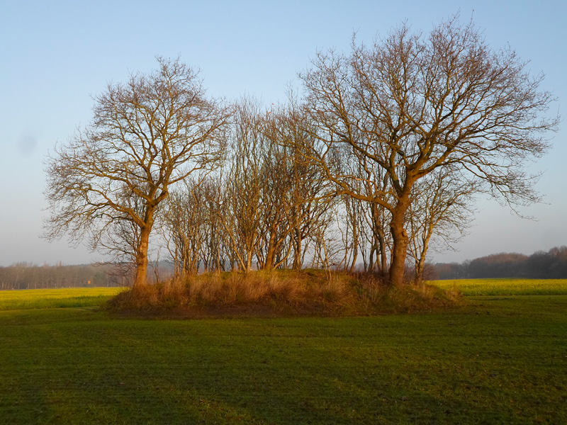 Click for the gallery page to add comments and vote (PID:143614) Grabhügel Kallenberg