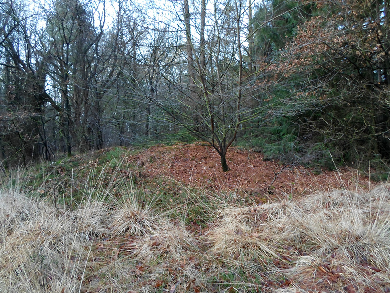 Click for the gallery page to add comments and vote (PID:143497) Grabhügelgruppe an der Küstenheide