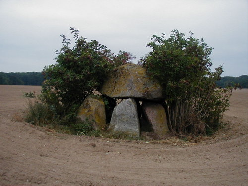 Plaaz Dolmen