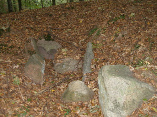 Everstorfer Forst Nord (10)