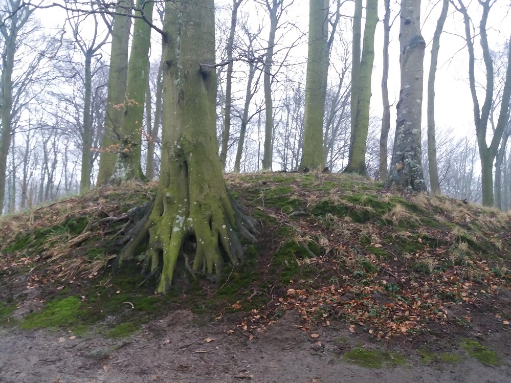 Click for the gallery page to add comments and vote (PID:195976) Hügelgrab Saßnitz 140