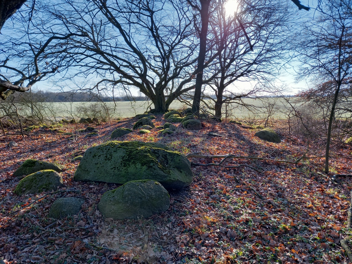Click for the gallery page to add comments and vote (PID:224137) Langbett Bresewitz