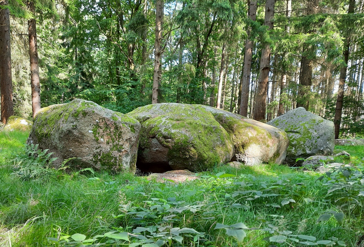 Everstorfer Forst Sued (1)