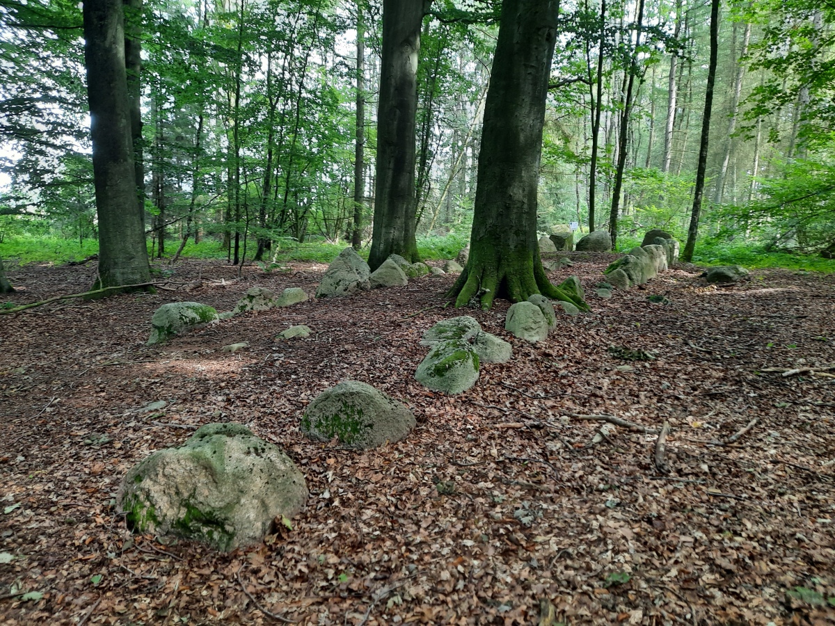 Everstorfer Forst Nord (3)