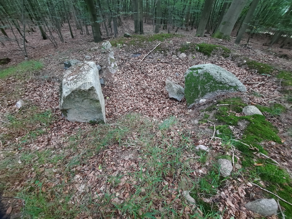 Everstorfer Forst Nord (9)