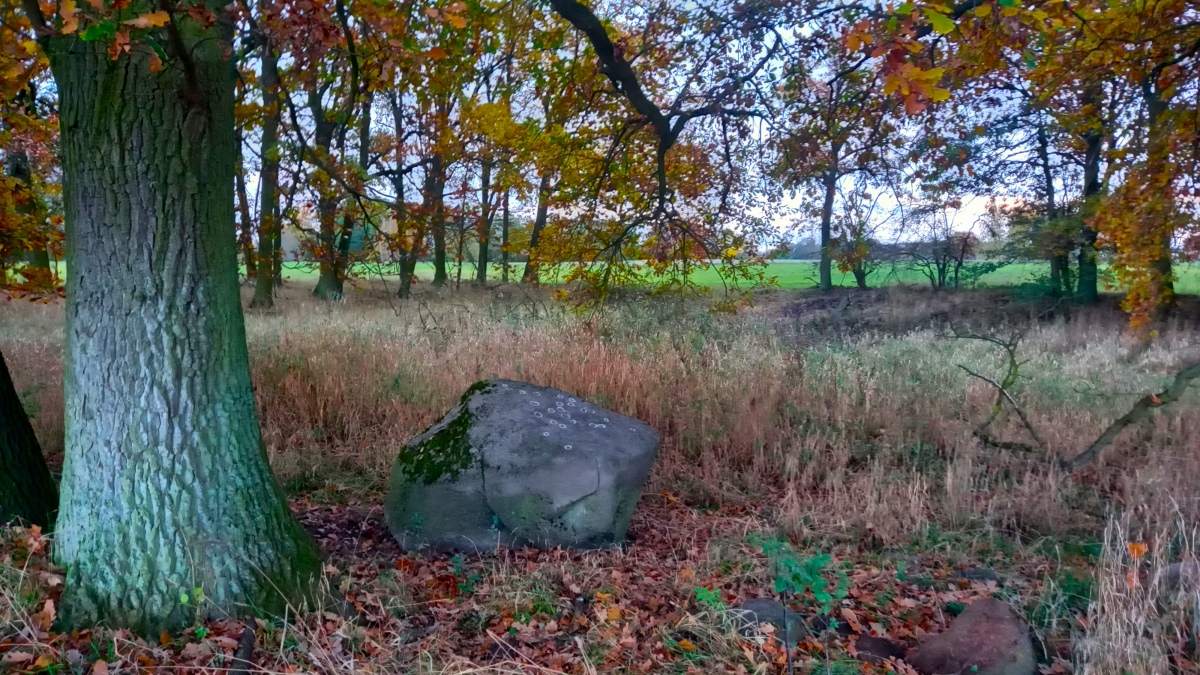 Click for the gallery page to add comments and vote (PID:266628) Schälchenstein Nadrensee