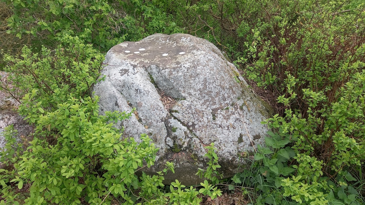 Click for the gallery page to add comments and vote (PID:288765) Schälchenstein Bergholz