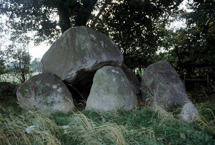 Teterow Huenenstein