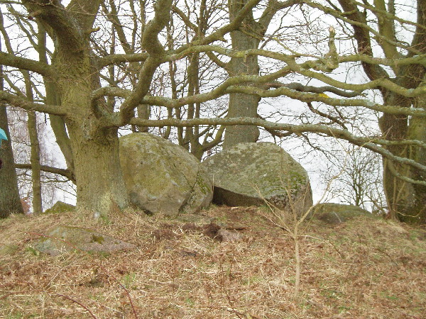 Preetz-Burtewitz Steingrab 3