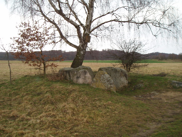 Preetz-Burtewitz Steingrab 2