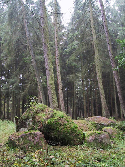 Forst Poggendorf Steingrab 2