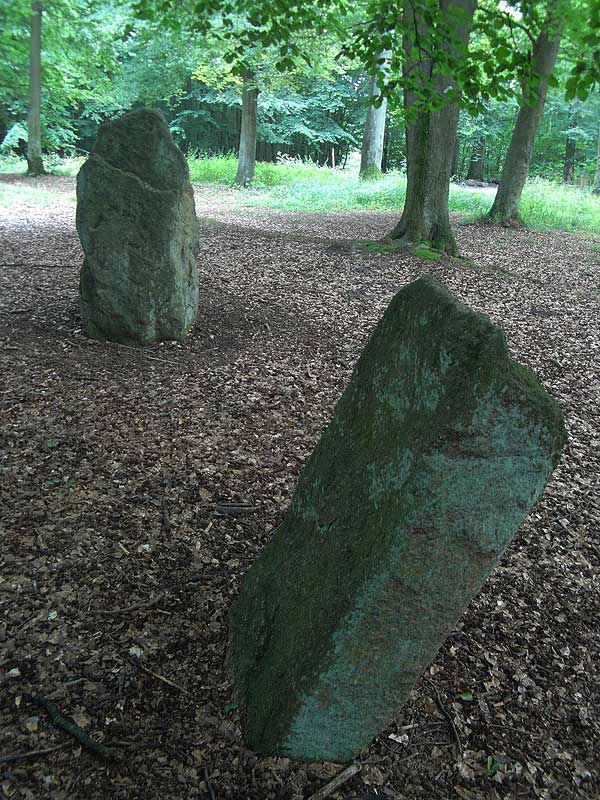 Großer Boitiner Steintanz