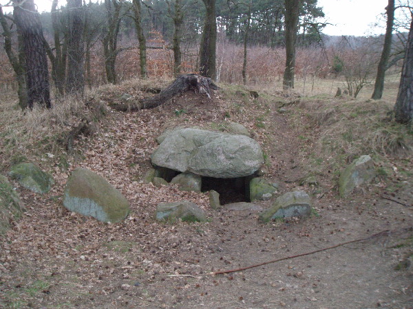 Preetz-Burtewitz Steingrab 4