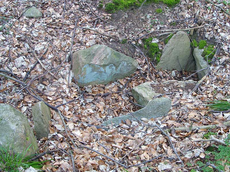 Everstorfer Forst Nord (10)