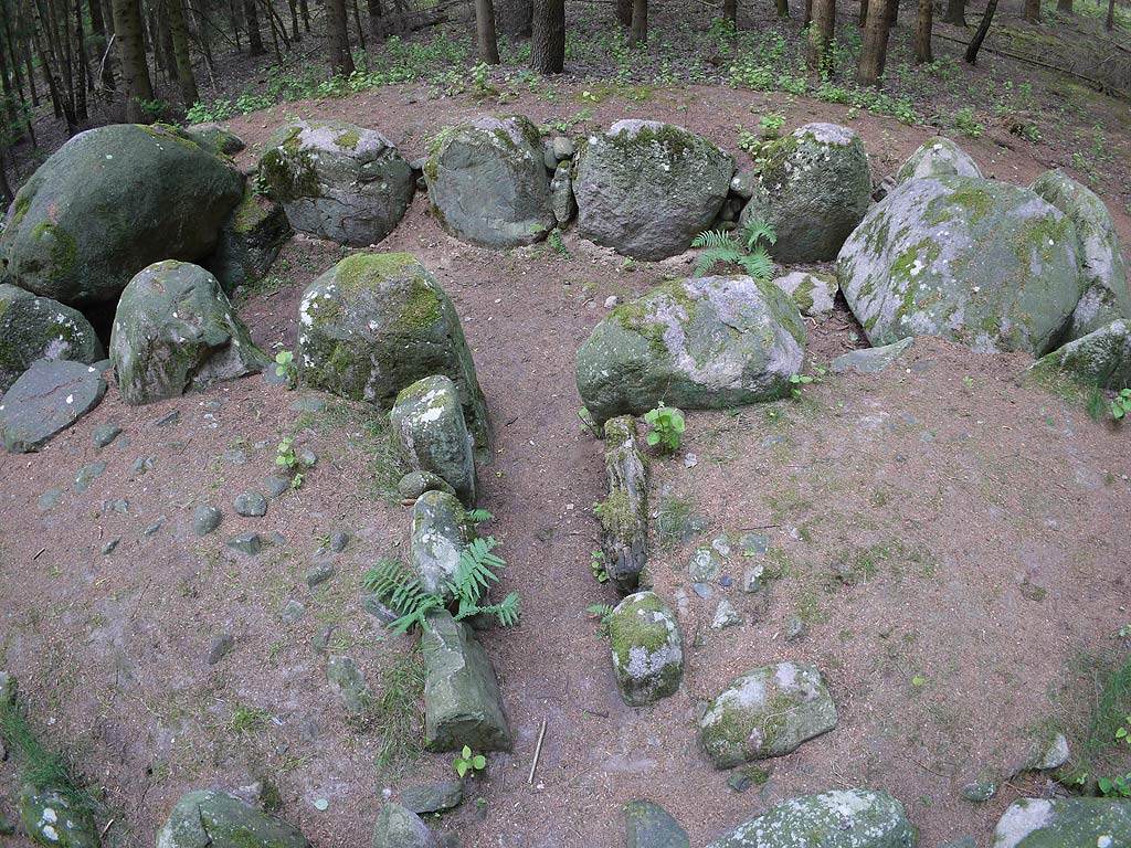 Everstorfer Forst Sued (4)