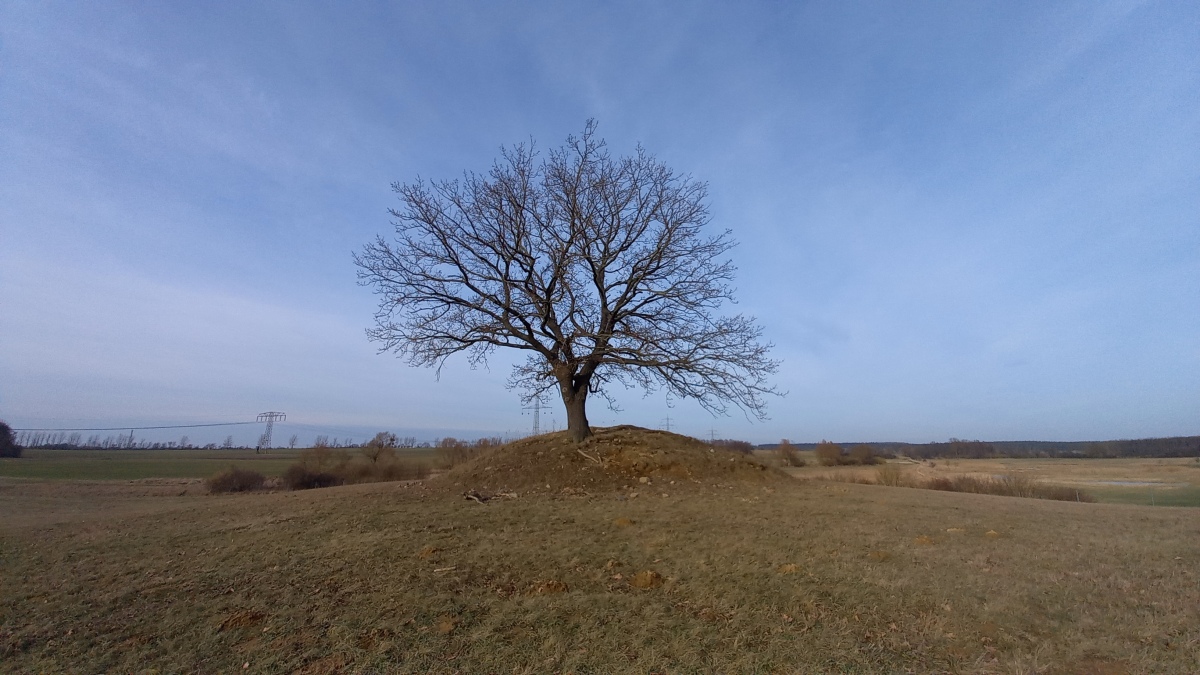 Hügelgrab Damerow (PID:254121) Hügelgrab Damerow