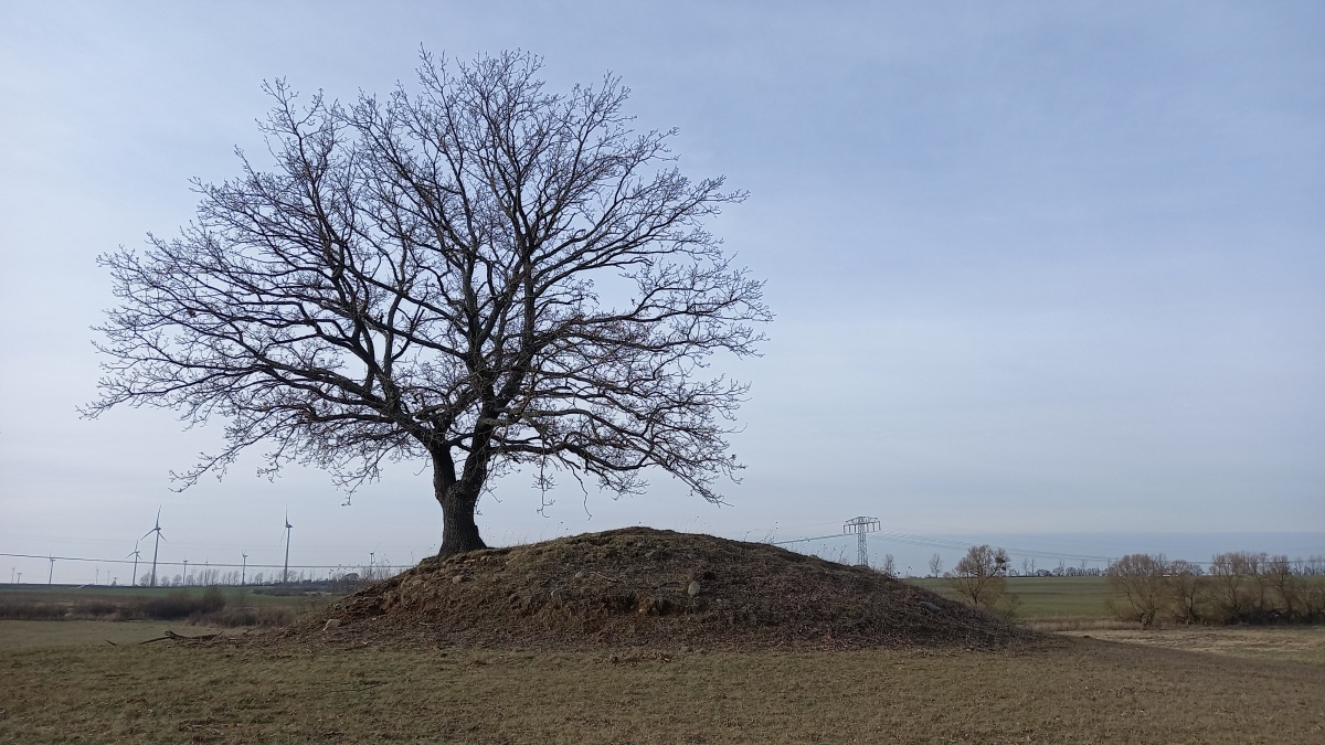 Click for full size image of Hügelgrab Damerow (PID:254123) Hügelgrab Damerow