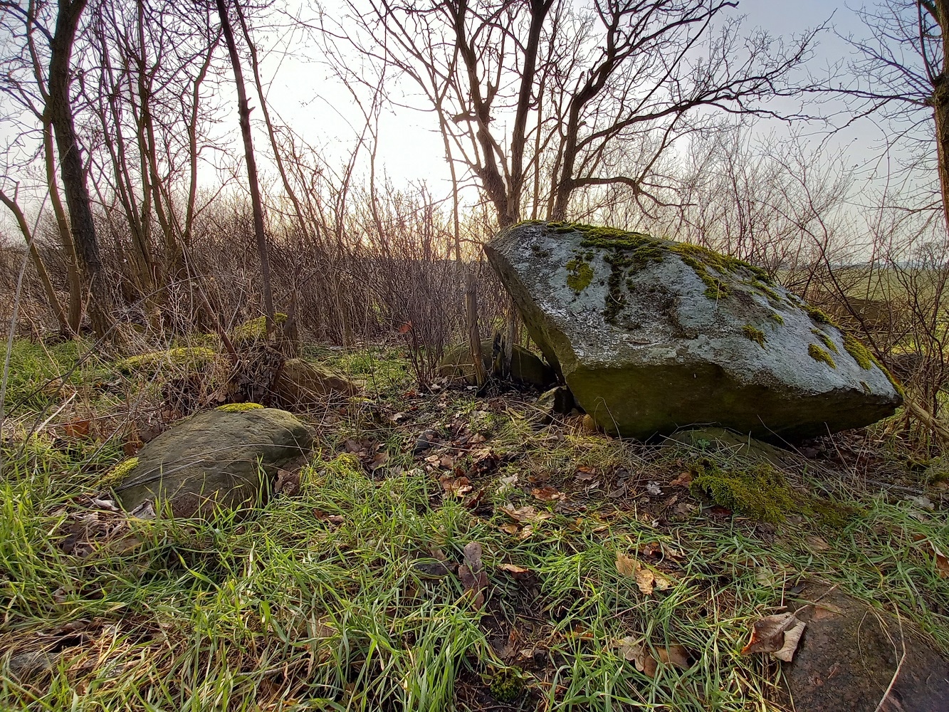 Click for the gallery page to add comments and vote (PID:223673) Großsteingrab Dorf Salow