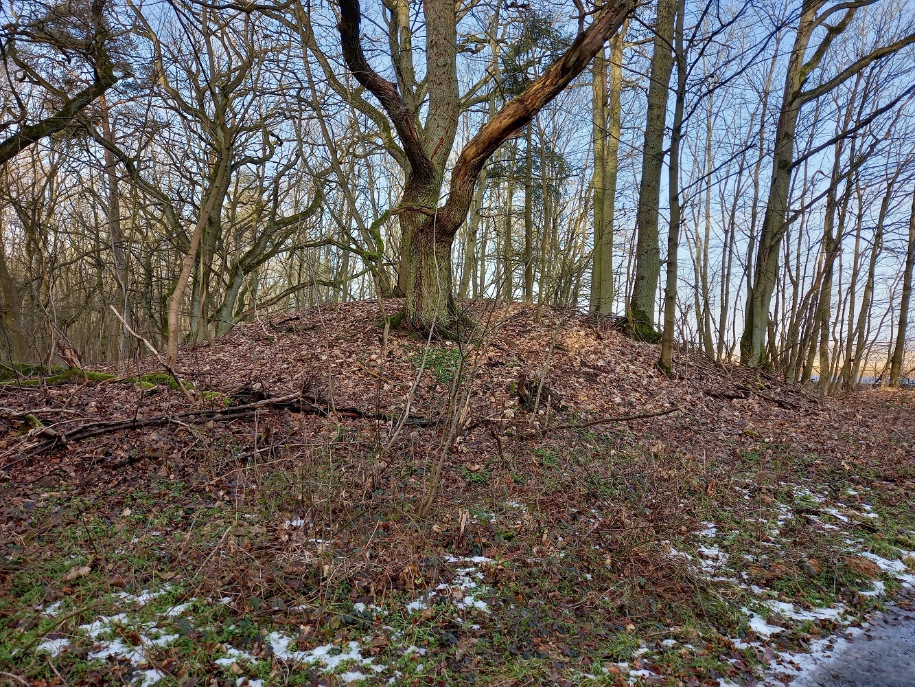 Click for the gallery page to add comments and vote (PID:223640) Hügelgräber Brunn 2