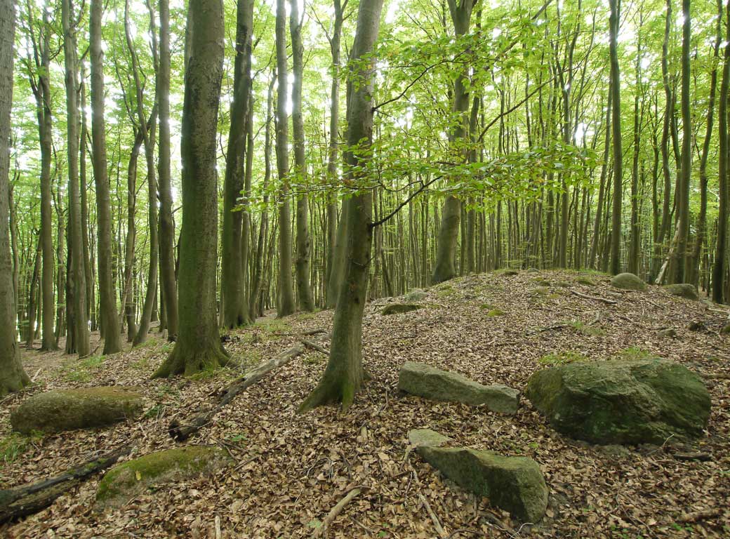 Click for the gallery page to add comments and vote (PID:129980) Hagen-Stubnitz Steingrab 2