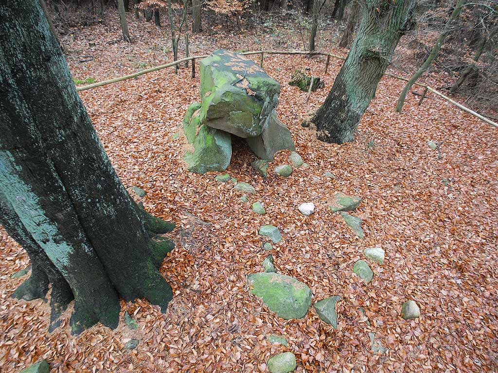 The natural preserve 'Naturschutzgebiet Radegasttal' stretches 2km
in NNW-SSE orientation along the east border of the meandering river
Radegast, 4km NNW of the town Gadebusch.

It is a mixed forest, and you can enter it from the NNW end near Neu Benzin.
A small path leads you along the forests border, and you come along a number
of very old trees with almost 2m diameter.
(It might be mosqu