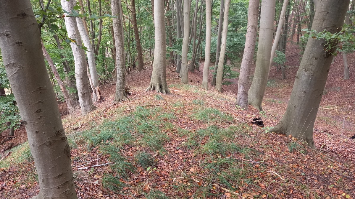 jobangebote usedom