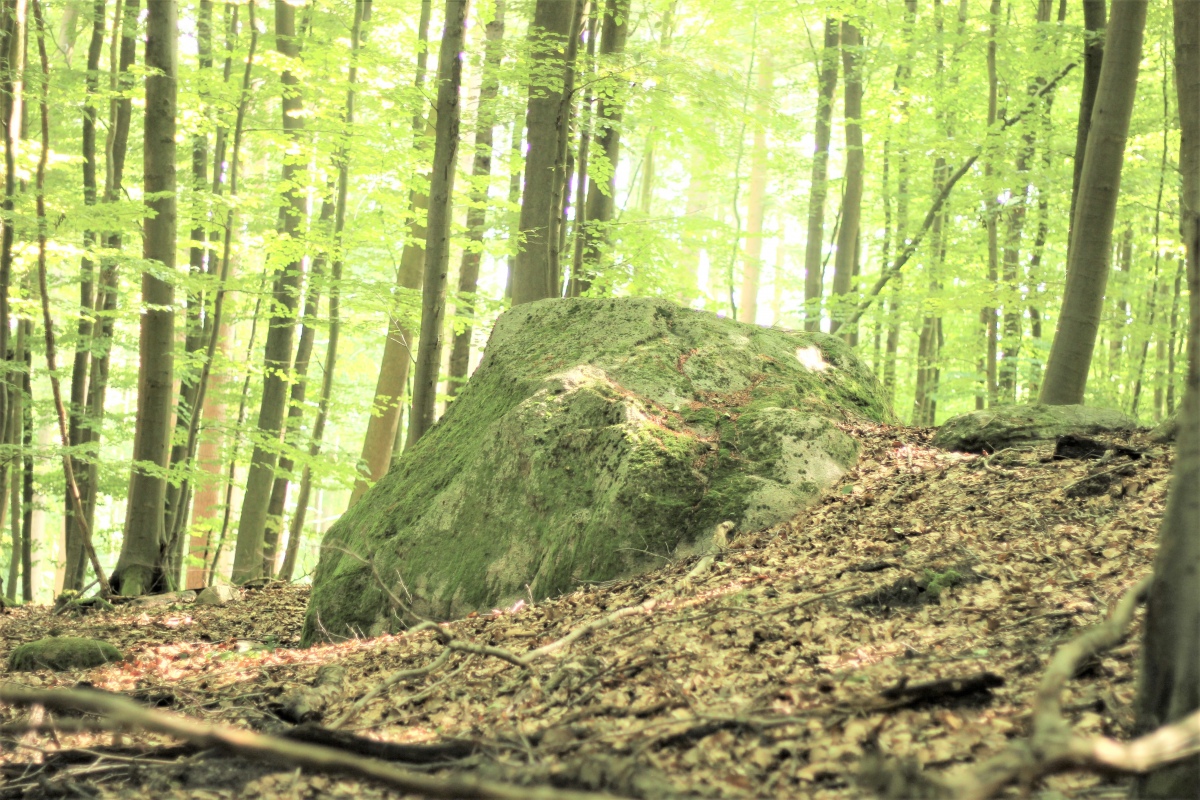 Opferstein Hohe Burg