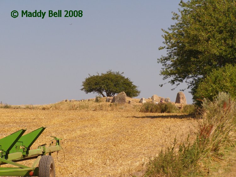 Click for the gallery page to add comments and vote (PID:42112) Nobbin Riesenberg