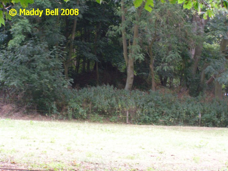 Click for the gallery page to add comments and vote (PID:42110) Blieschow Grabhuegel 1