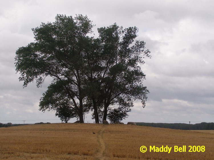 Click for the gallery page to add comments and vote (PID:42290) Blengow Vossberg Steingrab
