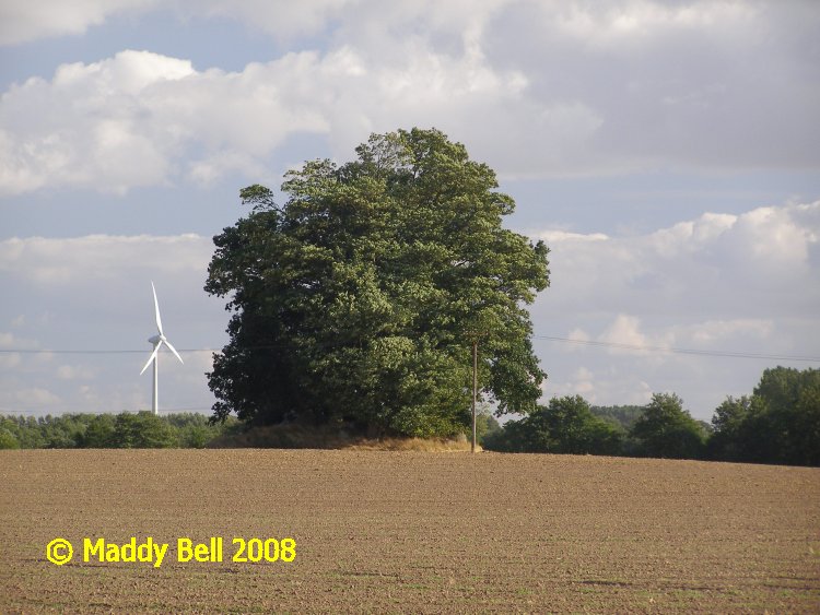Click for full size image of Proseken Steingrab (PID:42283) Proseken Steingrab