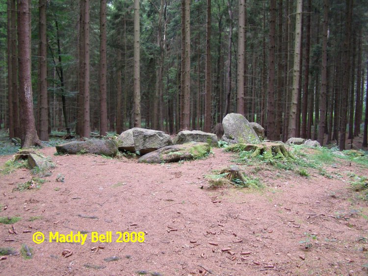 Click for the gallery page to add comments and vote (PID:42305) Everstorfer Forst Nord (7)