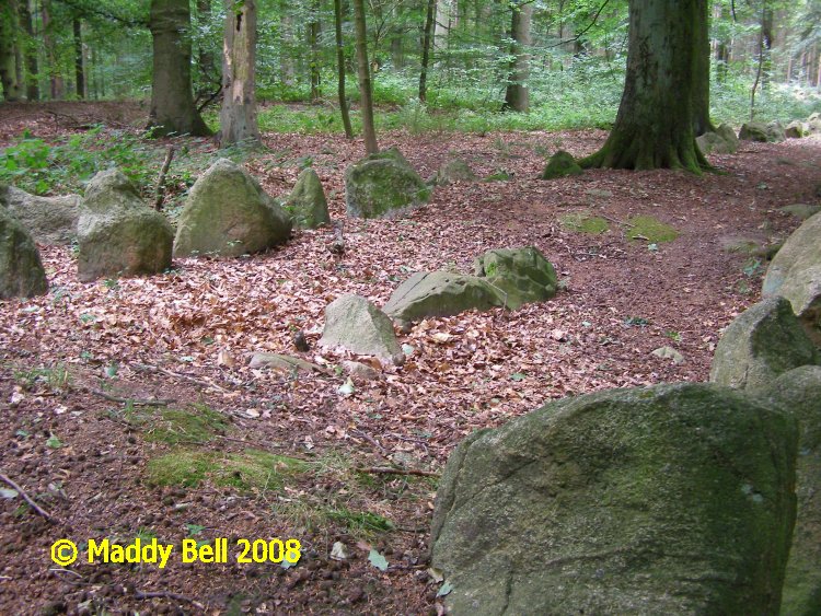 Click for the gallery page to add comments and vote (PID:42352) Everstorfer Forst Nord (3)